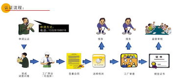歐盟CE認證指南 流程、機構選擇與南京倍晟咨詢中心的服務優勢